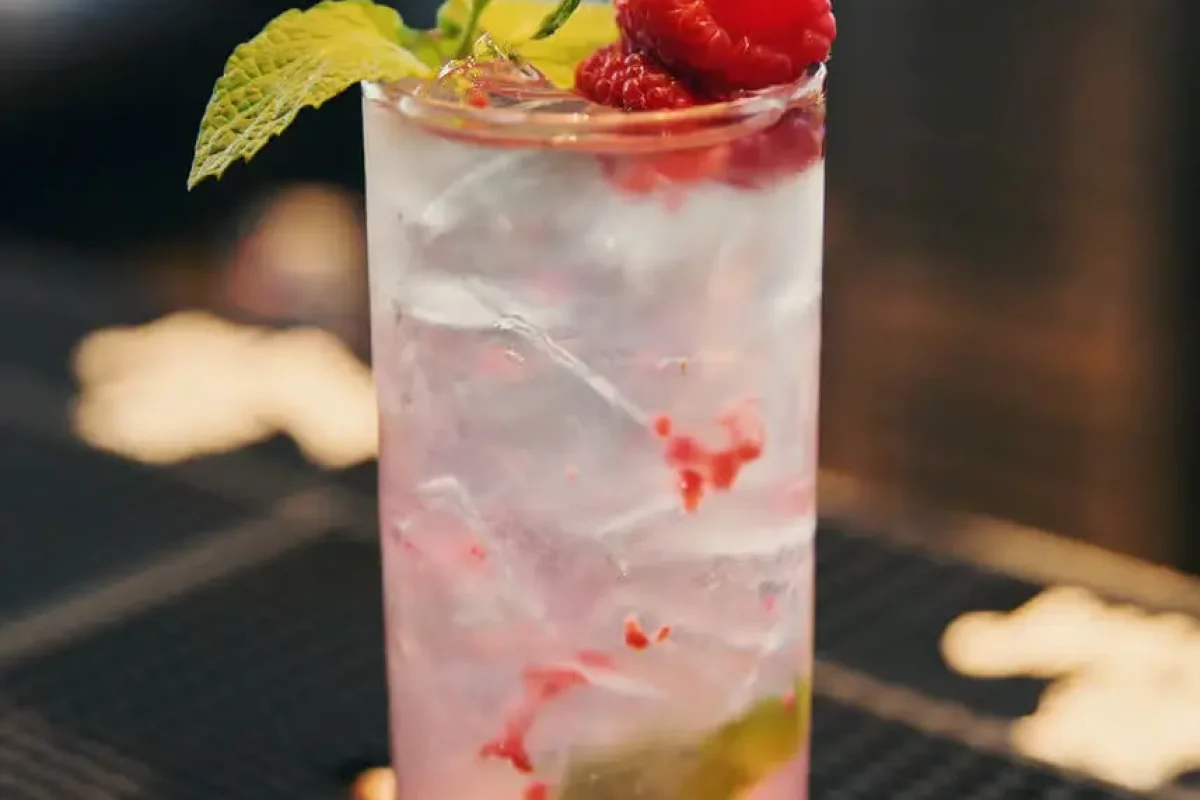what to drink in Tinman Social,, berry mojito
